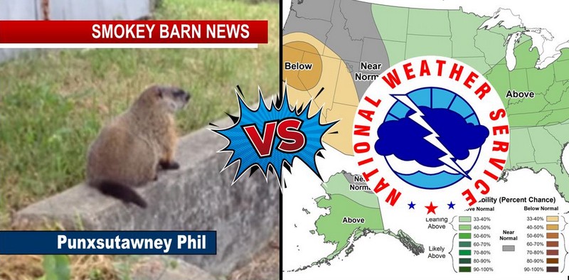 Weather Service Goes Head To Head With Punxsutawney Phil