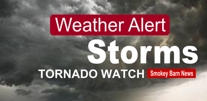 Tornado Watch: Robertson County, TN Until 9:00pm CST, Sat Mar 9