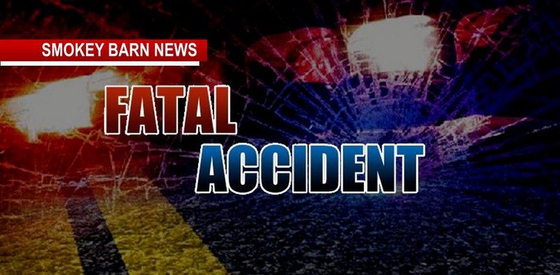 Pedestrian Dies In Early Morning Accident
