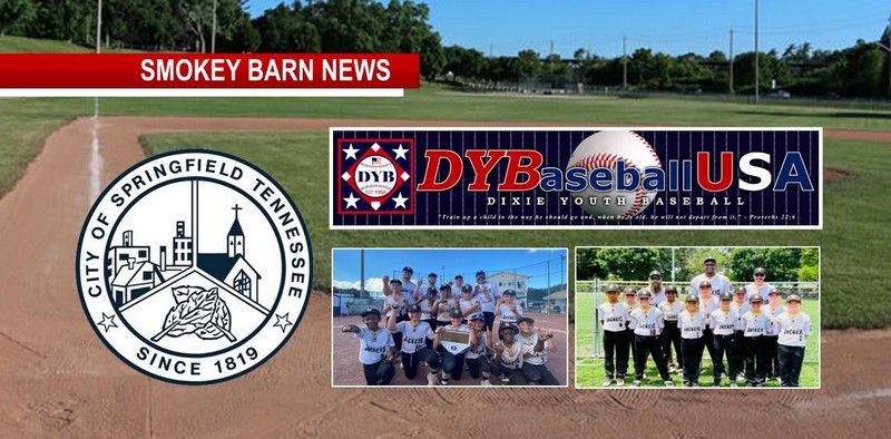 Two Springfield Teams Bound For 2022 Dixie Youth World Series