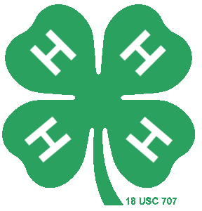 What Is 4-H? | Tennessee 4-H Youth Development