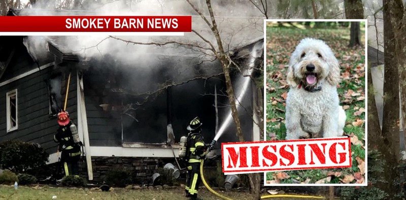MISSING Dog Alert: Home Fire Triggers Search For Family Dog