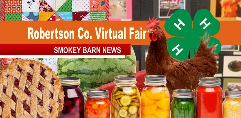 Rob. Co 4-H To Hold Virtual Fair 2020 - Submit Your Entries