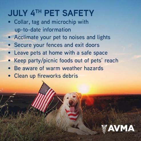 july 4th pet safety