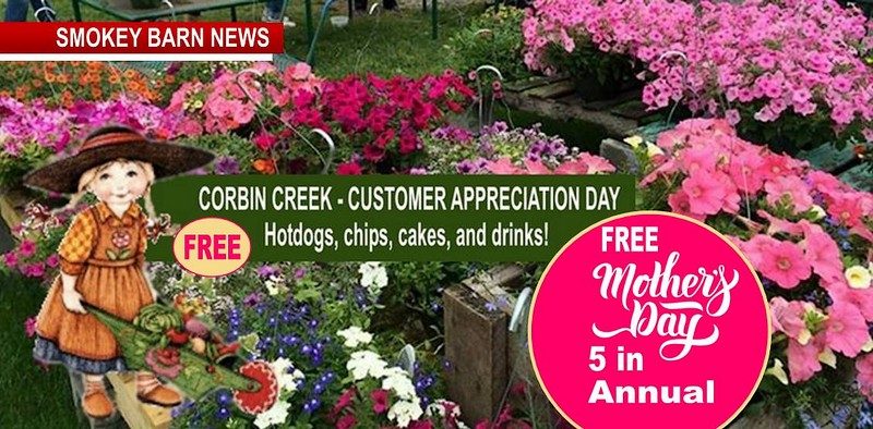 Fun, Food & Flowers This Saturday At Corbin Creek Greenhouse