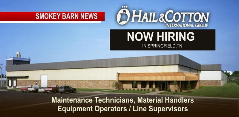 HIRING: Hail & Cotton In Springfield (Multiple Positions)