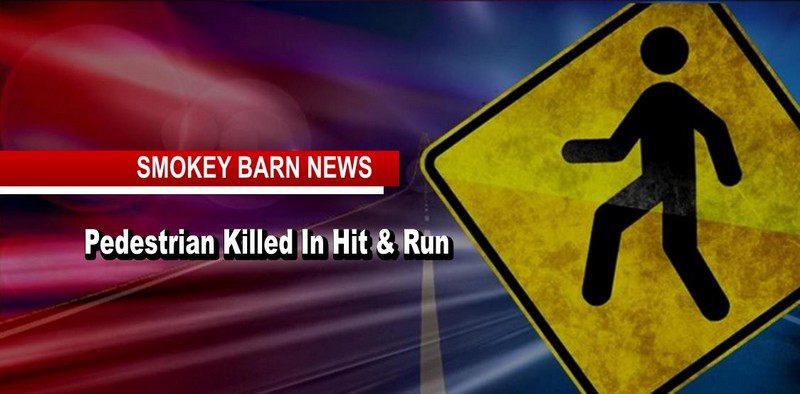 Zak Godwin II Of Cedar Hill Killed In Hit And Run In Nashville