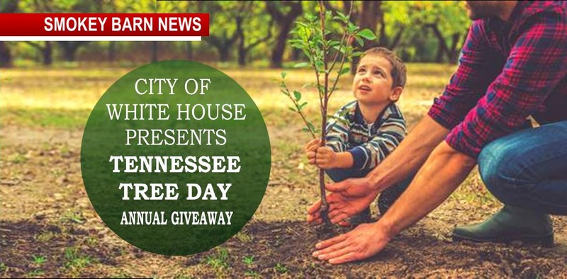 City Of White House Annual Tree Giveaway (Tenn. Tree Day)