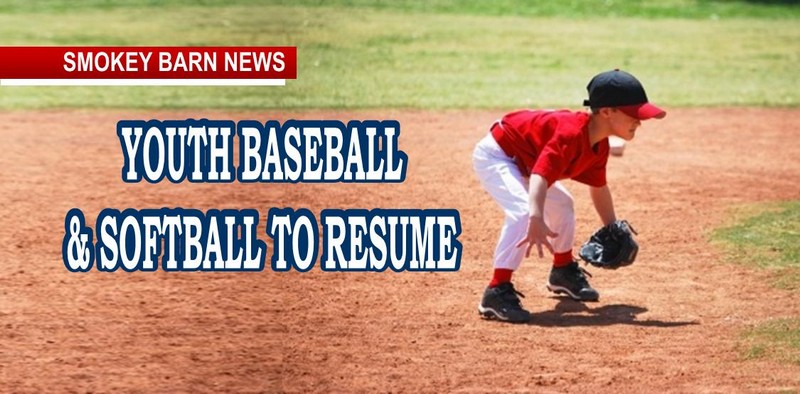Youth Baseball To Resume Under Gov. Lee's Exec. Order No. 38